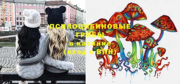 сатива Абдулино